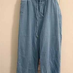 American Eagle Outfitters Women's Wide Leg Pants in Light Blue Denim